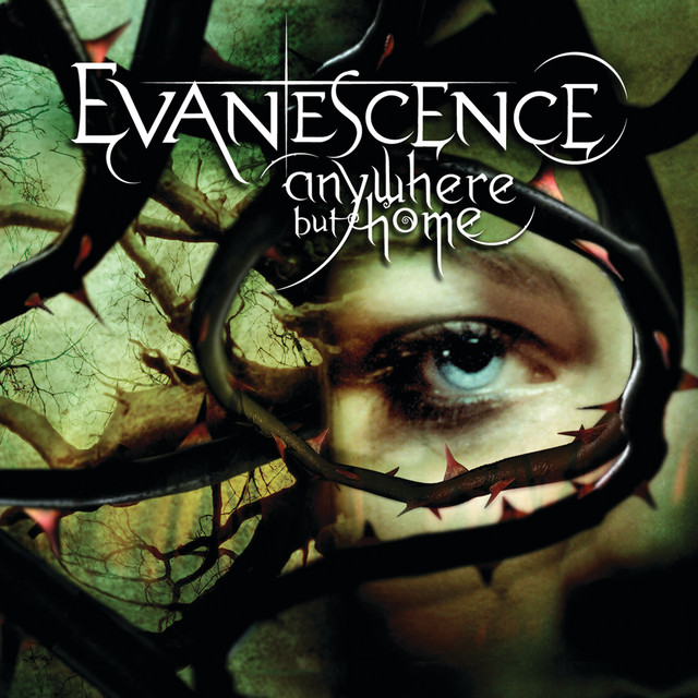 Evanescence-Anywhere But Home (Live)