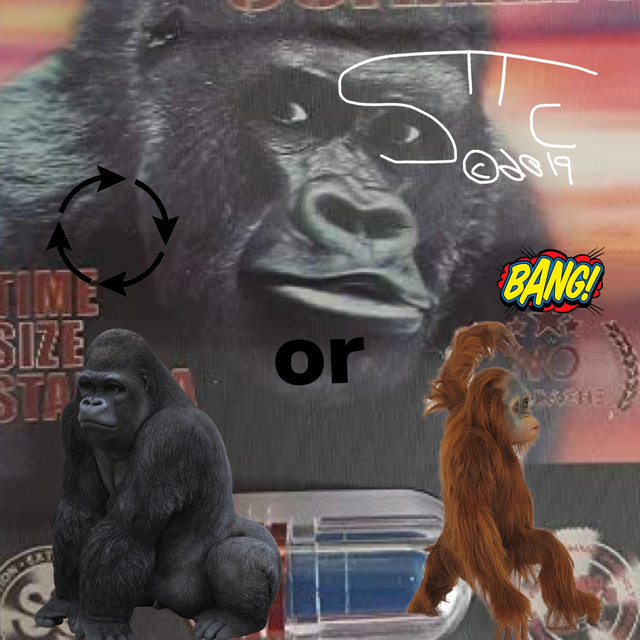 Artist $tatic Goonz Cover