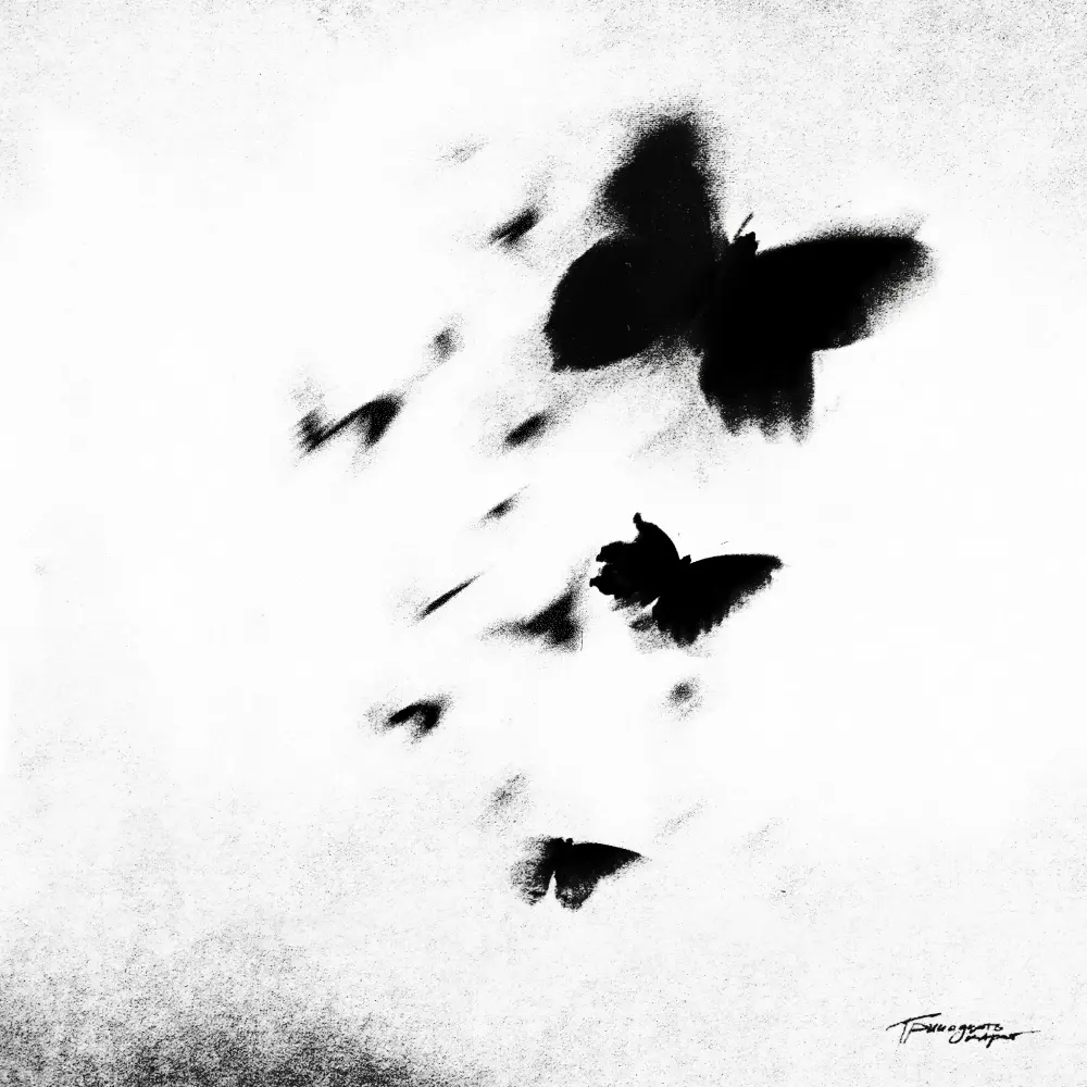 cover-testo-più-cercati-nr11